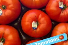 beefsteak_tomatoes