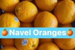 navel_oranges